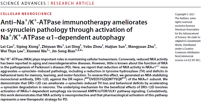 帕金森病治療新發(fā)現(xiàn)！新國大蘇研院卞勁松團(tuán)隊在《Science》子刊發(fā)表科研成果