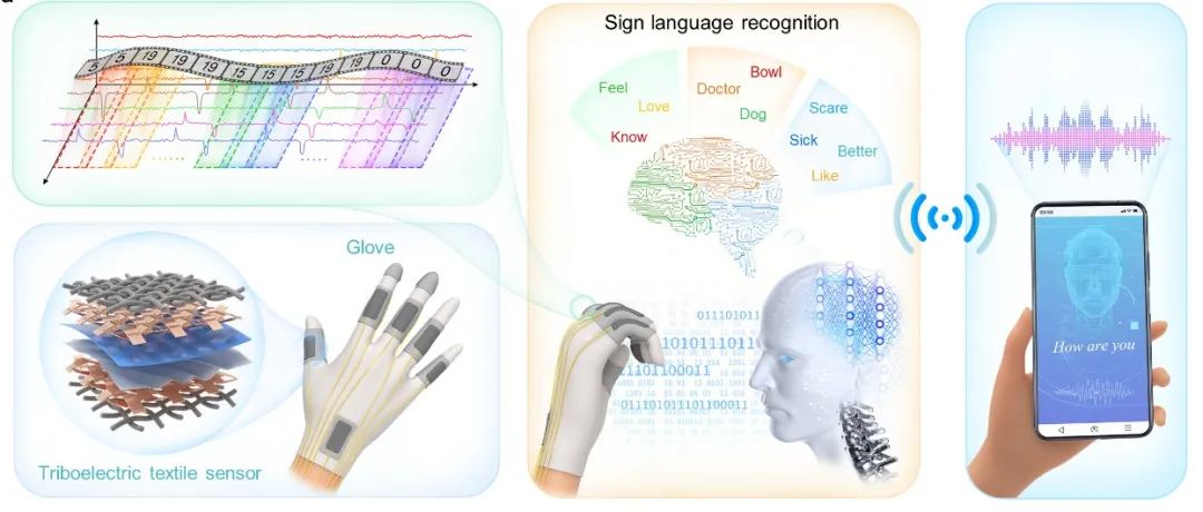 實用手語識別系統(tǒng)新突破！新國大蘇研院李正國團隊在《Nature》子刊再發(fā)科研成果